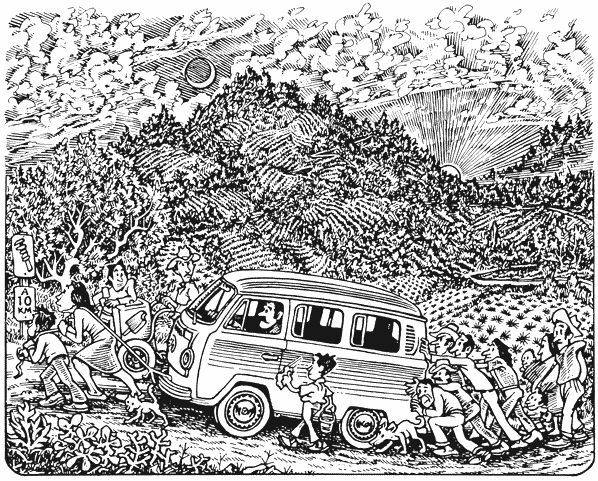 VW Bus and Friends